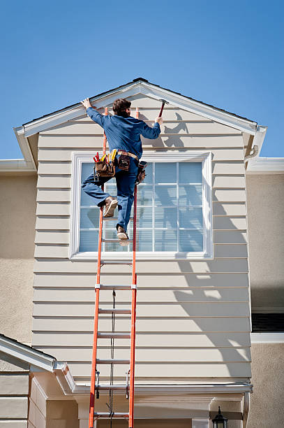 Best Custom Siding Design  in Moore Haven, FL